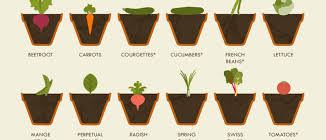 Simple to Grow Vegetables pic